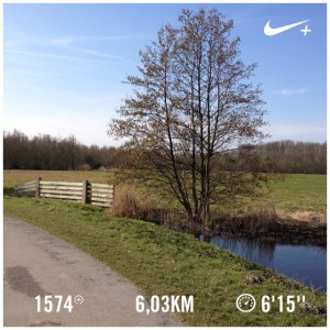 hardlopen nikeplus