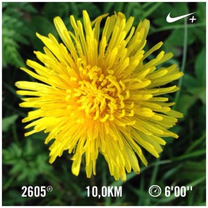hardlopen nikeplus