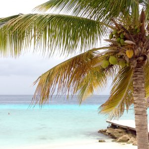 vakantie Curaçao