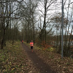 hardlopen in de herfst