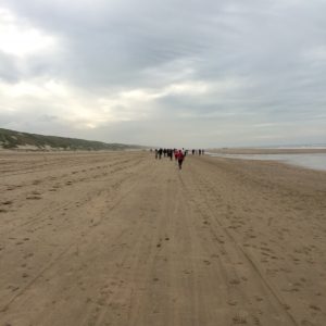 strand- en duinloop AV Castricum