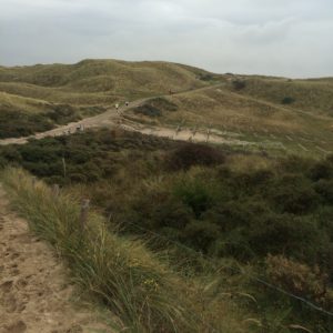 strand- en duinloop AV Castricum